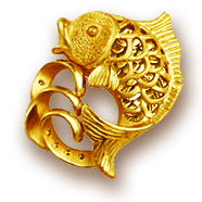 Amezon888 Icon nav menu fishing